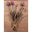 808046 - Bos lila tulpen - 5 stelen - 45 cm