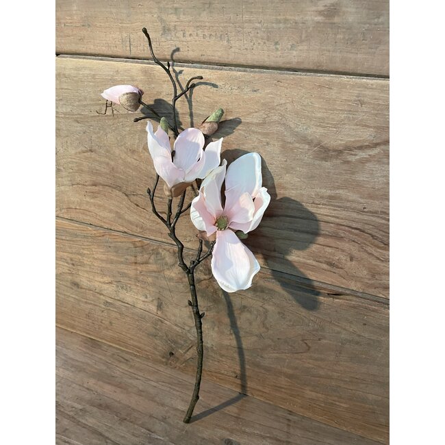 Countryfield Magnolia Cinthya roze-L48B16H10CM