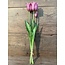 960489 tulip Kelsey exclusive vintage pink 48 cm