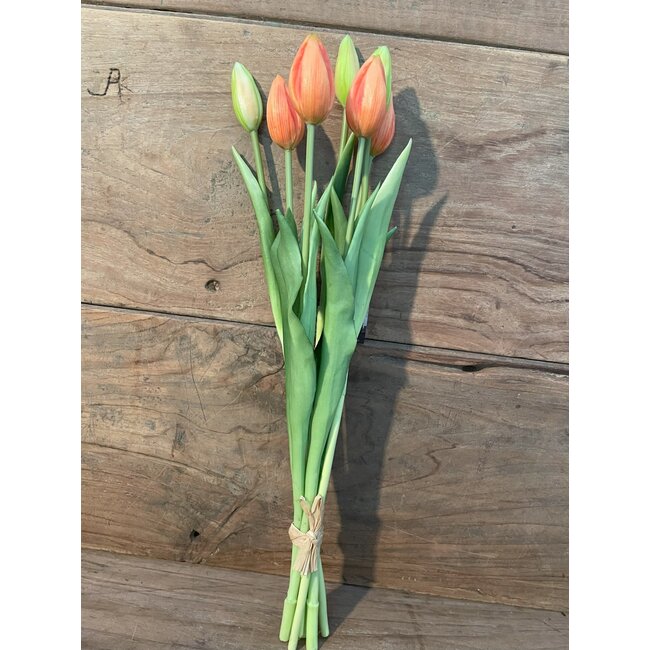 870314 Tulp per 7 in bos peach - ca. 45 cm