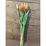 870314 Tulp per 7 in bos peach - ca. 45 cm