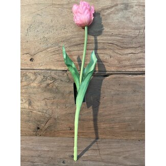 Countryfield Roze tulp 40 cm