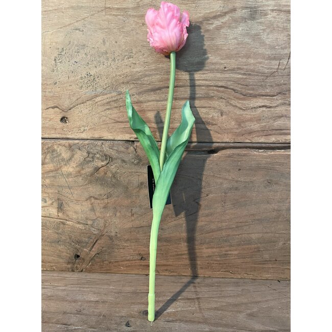 Countryfield tulipa parkiet roze