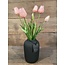 870177 tulp classic soft pink - bos licht roze tulpen - 7 stelen - ca. 45 cm