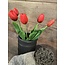 Rode tulpen boeket, 5 stelen 35 cm