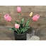 Countryfield 802431 - Bos roze tulpen - 5 stelen - ca. 40 cm