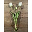 960480 tulp Kelsey exclusive snowy white 48 cm