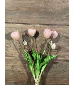 Lichtroze tulpen boeke, 7 stelen 44 cm