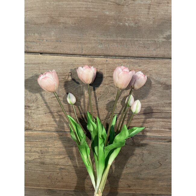 Real Touch Tulip Dubble Bundle x7 L44cm Light Pink - tulpen