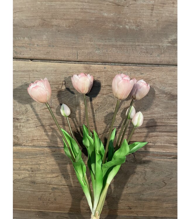 Real Touch Tulip Dubble Bundle x7 L44cm Light Pink - tulpen