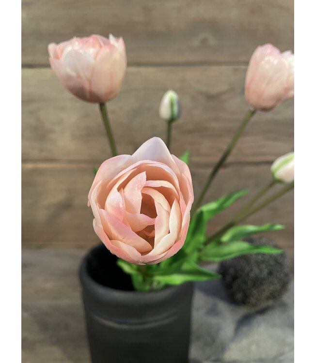 Real Touch Tulip Dubble Bundle x7 L44cm Light Pink - tulpen