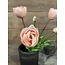 Real Touch Tulip Dubble Bundle x7 L44cm Light Pink - tulpen
