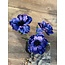Countryfield ~Anemone paars-L20B15H77CM