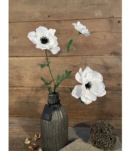 Countryfield ## Anemone wit-L20B15H77CM