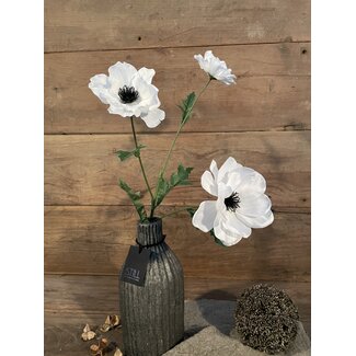 Countryfield Anemone wit-L20B15H77CM