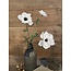 Countryfield Anemone wit-L20B15H77CM