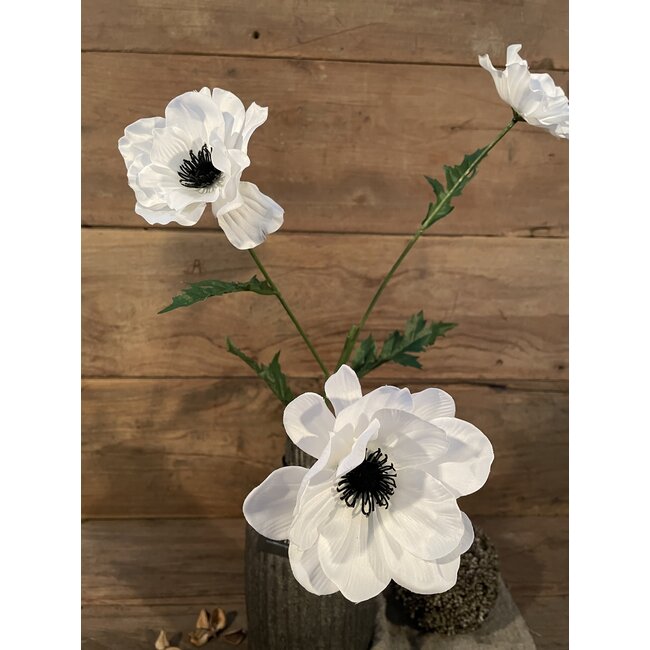 Countryfield ## Anemone wit-L20B15H77CM