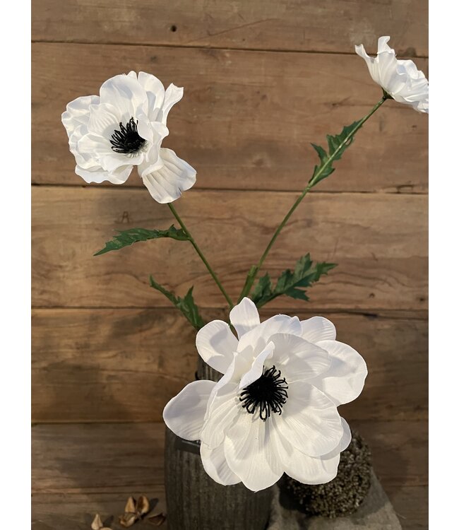 Countryfield ## Anemone wit-L20B15H77CM