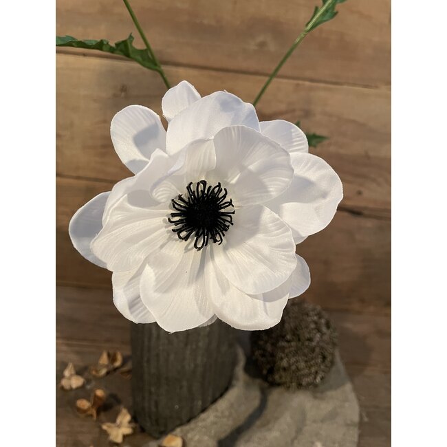 Countryfield ## Anemone wit-L20B15H77CM