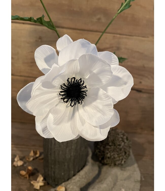 Countryfield ## Anemone wit-L20B15H77CM