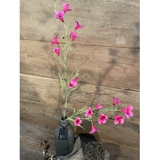 Campanula spray reeva aubergine 105cm