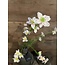 Brynxz ~flowerheadspray, 68 cm, white-rosee