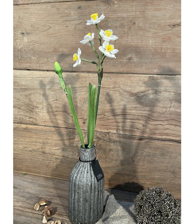 Narcissus crailo spray cream/yellow 50cm - narcis