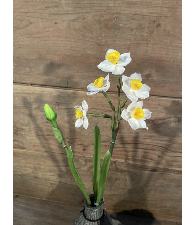 Narcissus crailo spray cream/yellow 50cm - narcis