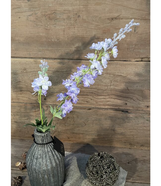 Delphinium finn spray purple 85cm