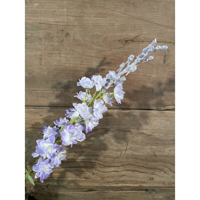 Delphinium finn spray purple 85cm