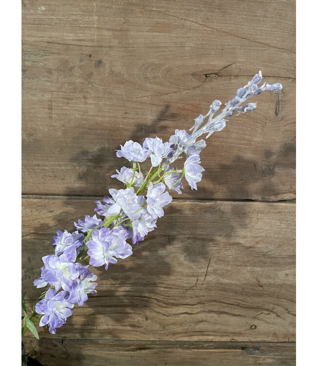 Delphinium finn spray purple 85cm