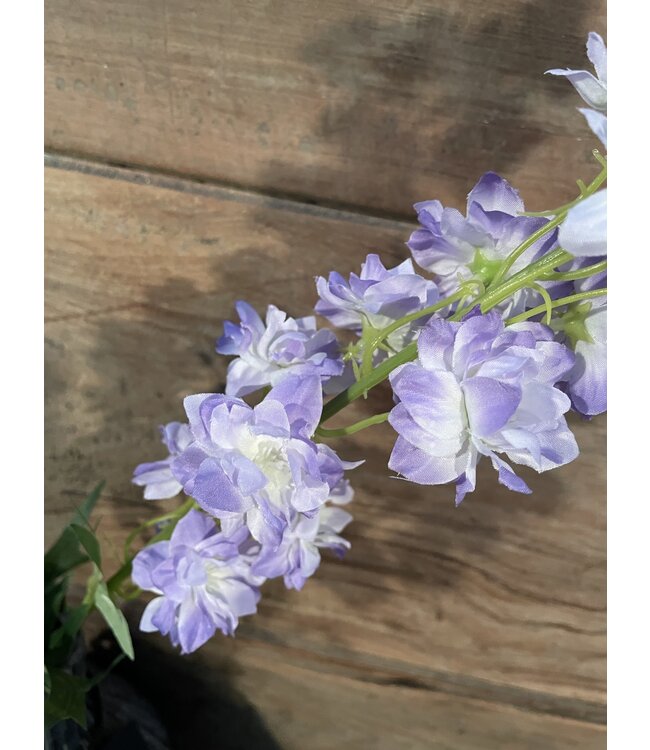Delphinium finn spray purple 85cm