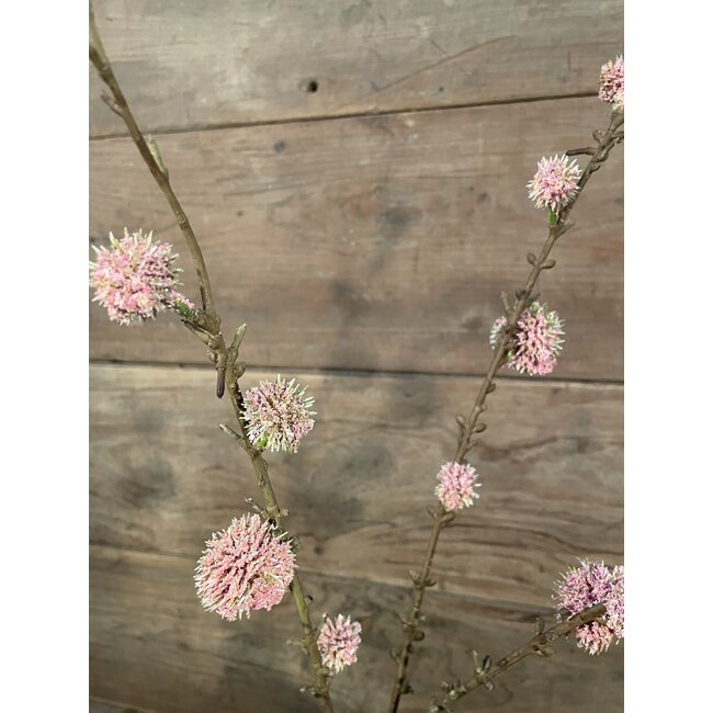 Ball Spray, 93 cm, rosee