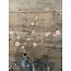 Brynxz Ball Spray, 93 cm, rosee
