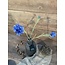 Brynxz Centaurea spray blue 68cm