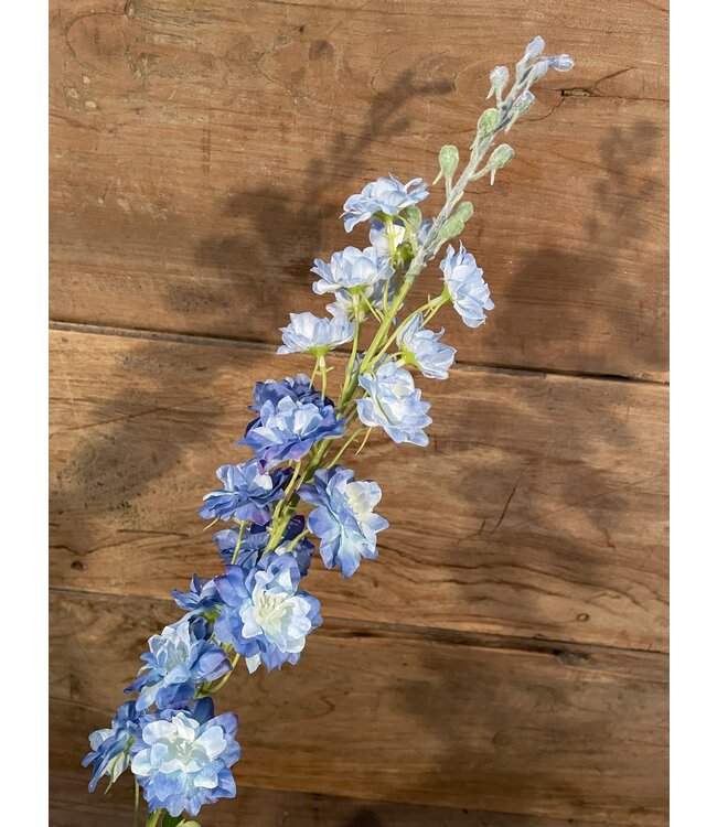 Delphinium finn spray blue 85cm