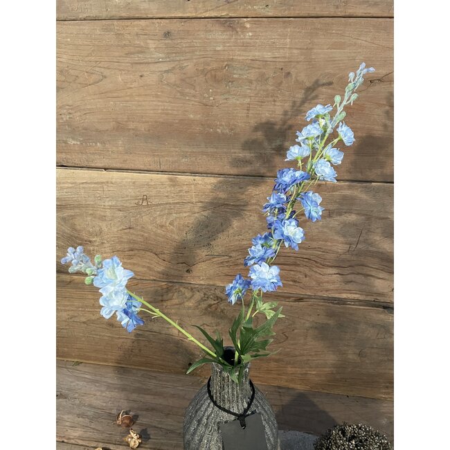 Delphinium finn spray blue 85cm