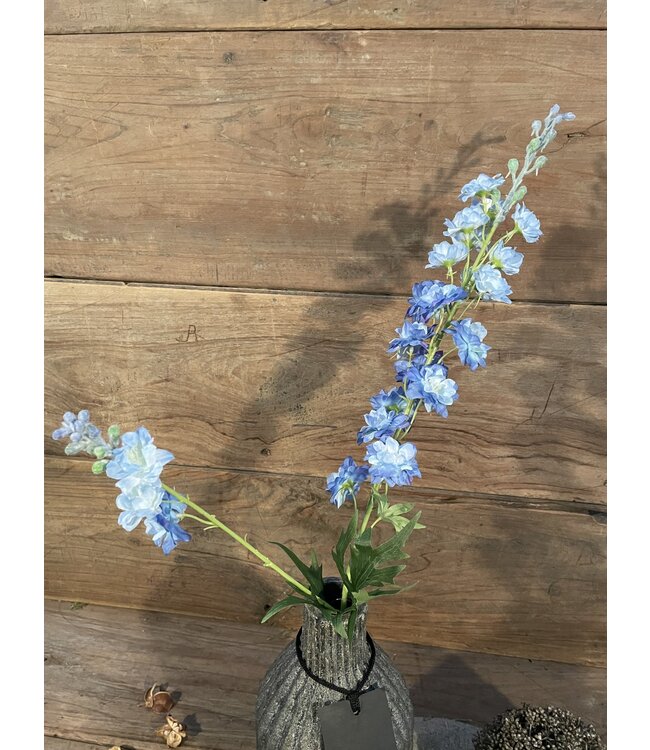 Delphinium finn spray blue 85cm