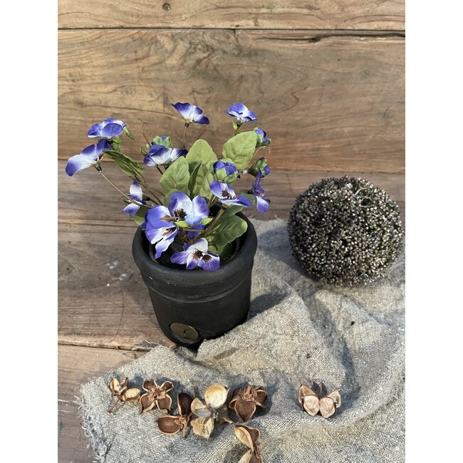 ## Viooltje Paars in Pot Stan grey d9cm - h19xd20cm