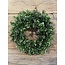 ~Krans buxus Groen - l27cm 15707