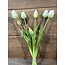 70170 tulp classic white 7 stelen - ca. 45 cm