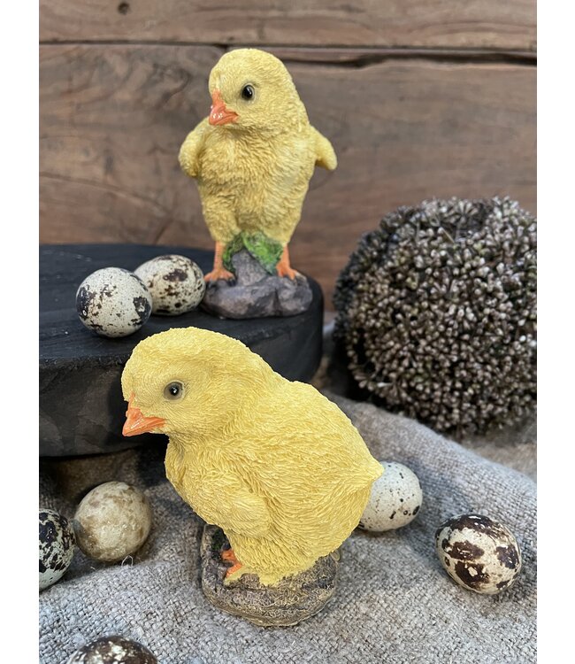 KUIKENTJE POLY 2 ASS 9 CM - per stuk - random via webwinkel/uitzoeken in winkel in Hellum
