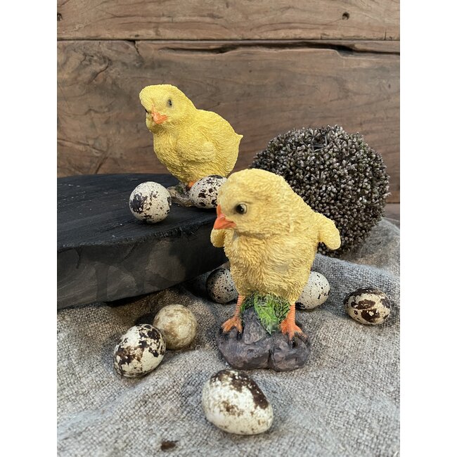 KUIKENTJE POLY 2 ASS 9 CM - per stuk - random via webwinkel/uitzoeken in winkel in Hellum