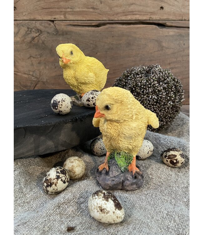 KUIKENTJE POLY 2 ASS 9 CM - per stuk - random via webwinkel/uitzoeken in winkel in Hellum