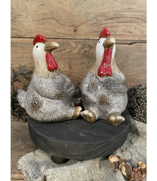 Countryfield Kip Henrika L a2 grijs-L20B12,2H19,5CM - per stuk - random via web/uitzoeken alleen in hellum