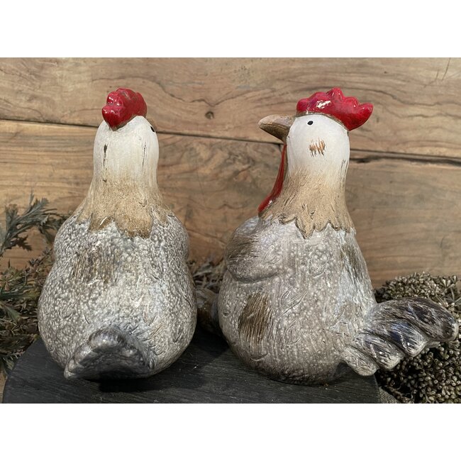 Countryfield Kip Henrika L a2 grijs-L20B12,2H19,5CM - per stuk - random via web/uitzoeken alleen in hellum