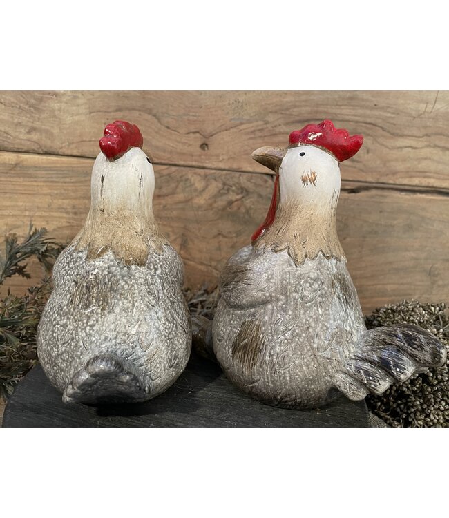 Countryfield Kip Henrika L a2 grijs-L20B12,2H19,5CM - per stuk - random via web/uitzoeken alleen in hellum