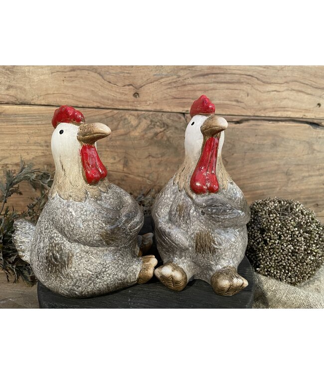 Countryfield Kip Henrika L a2 grijs-L20B12,2H19,5CM - per stuk - random via web/uitzoeken alleen in hellum