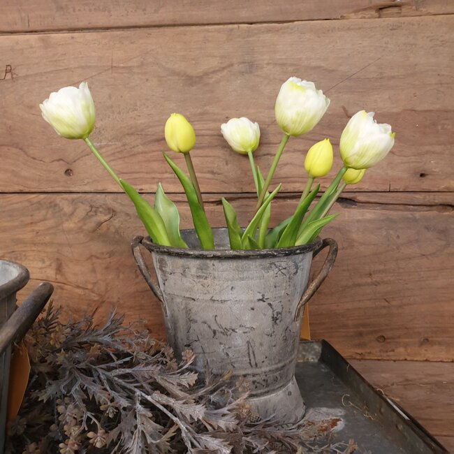 Witte/gele tulpen boeket, 7 stelen 44 cm