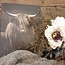 ### 847 - Afbeelding op hardboard - hooglander met hoorns